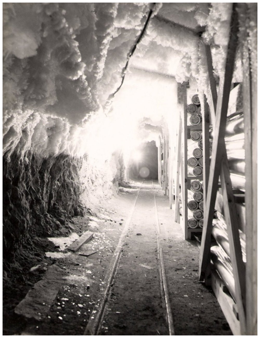 CRREL Greenland Ice&nbsp;Cores